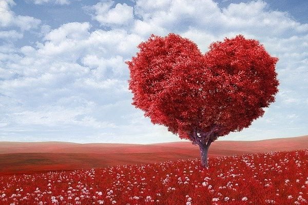 Valentine’s Day without immorality