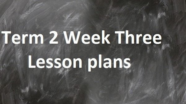 Term 2 Week Three Lesson plans