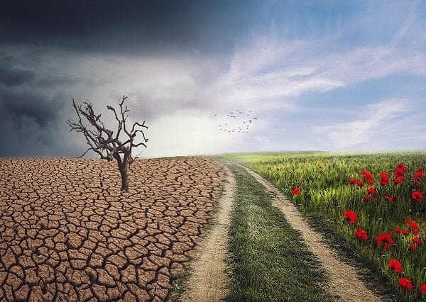 Climate change