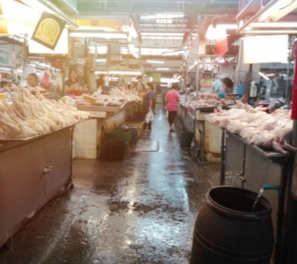 Wuhan's Wet Markets Reopen
