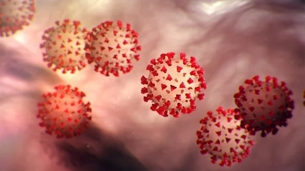 Stop putting exams ahead of lives – GMA to GES