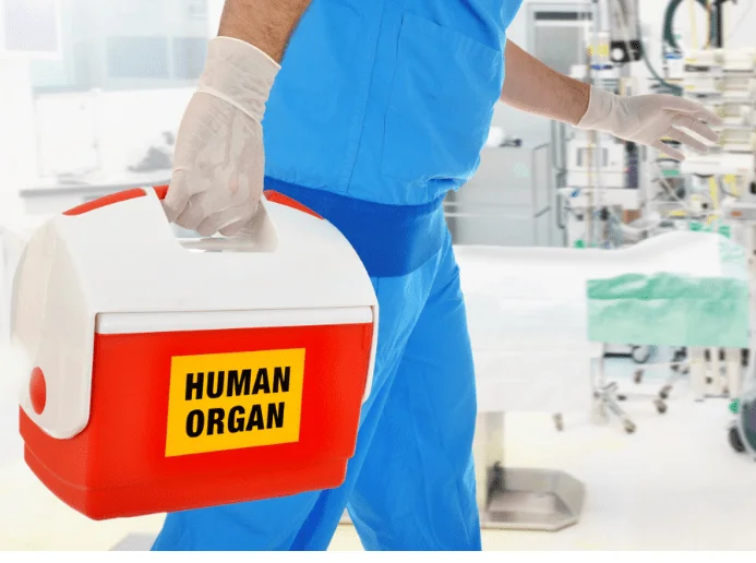 Successful Penis Transplant