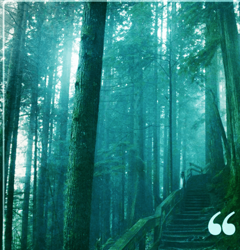 Plan These Areas Of Your Life To Be Completely Successful