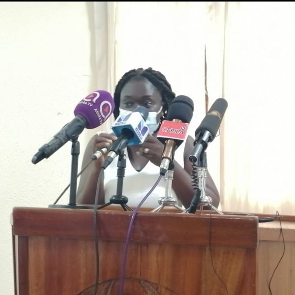 increase domestic financing for immunization