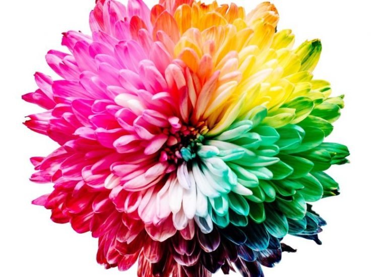 Colour symbolism in Schizophrenia: Perceiving different colours convey certain messages – Dr.Ayesha Mughees