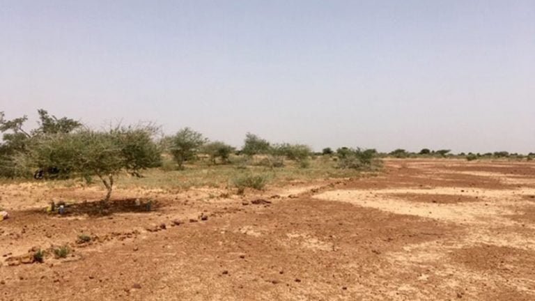 Prampram: Osuwem Families Petition Lands Commission Over Illegal Sale Of Family Lands By Bossman Brothers