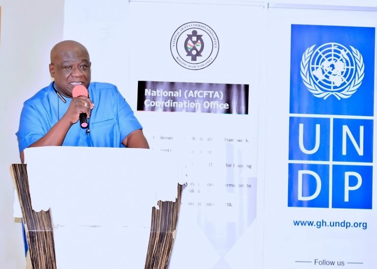 National Coordination Office (NCO), UNDP Train SMES To Harness Benefits Under AfCFTA