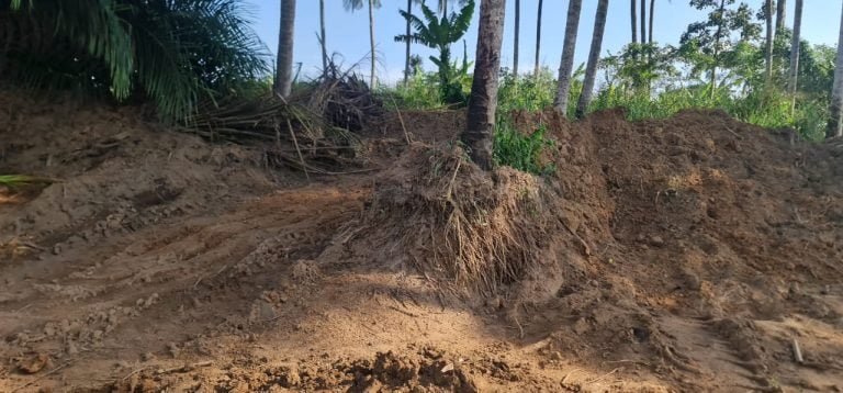 Nsawam: Danger! Chief Of Kofi-Sa Destroys Hundreds  Of Farmlands For Sand Winning