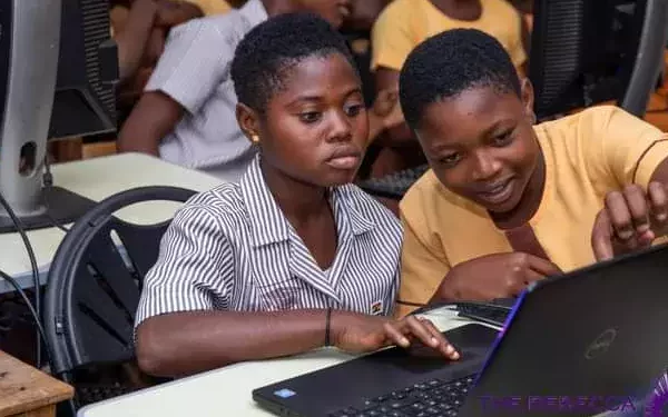 2023 School Placement Released, Check your School Here!
