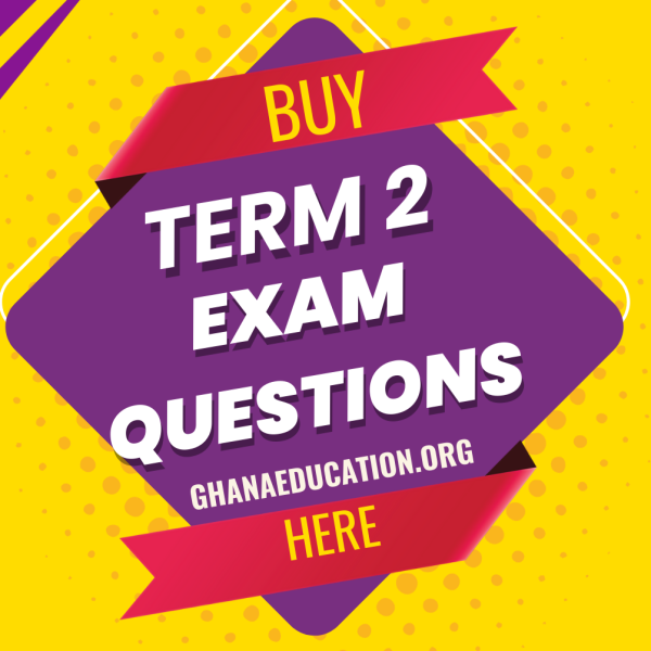 Term 2 End-of-Term Exam Questions