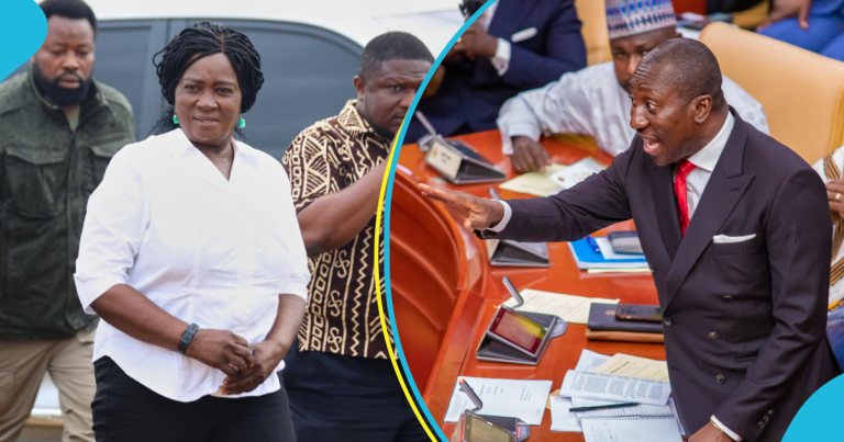 Old Naana Jane doesn’t represent the future Ghana needs – Afenyo Markin