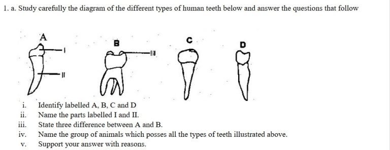 Intergrated Science Practical Questions for Revision BECE 2024