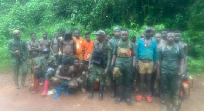 19 Illegal Miners Arrested; Forestry Commission