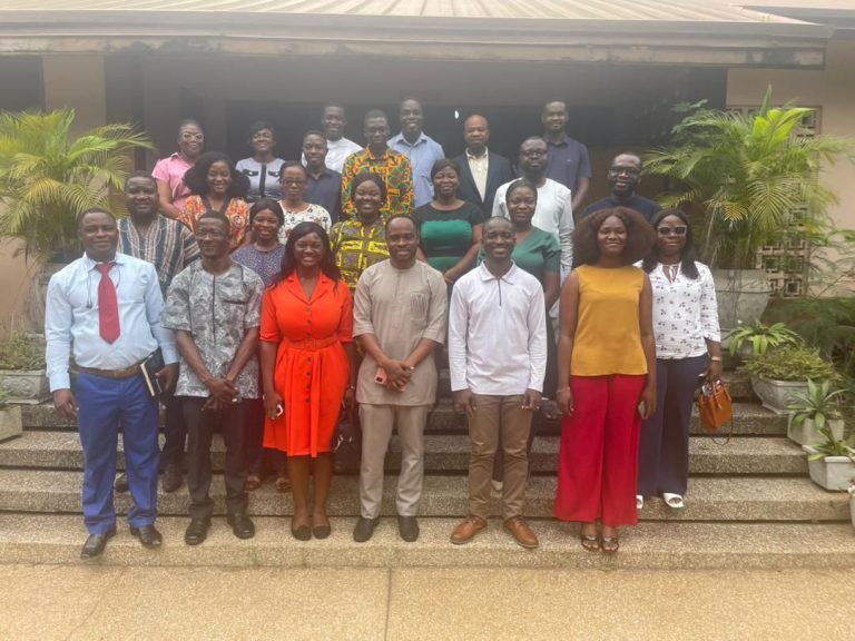 Workshop in Accra calls for a socially inclusive transition to green energy