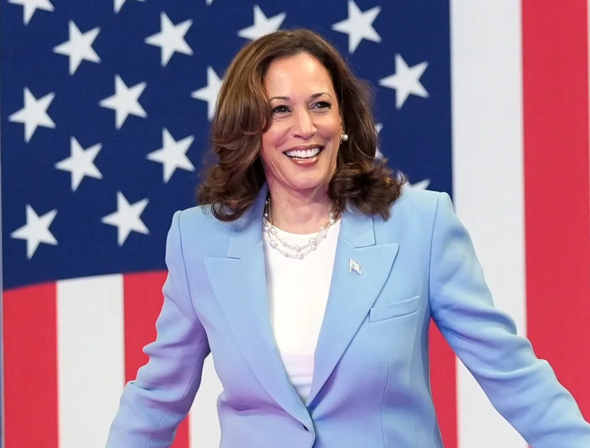 Democrats are Reclaiming Freedom and the American flag