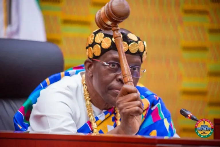 Speaker Warns: Frequent Recalls is a Drain on National Resources