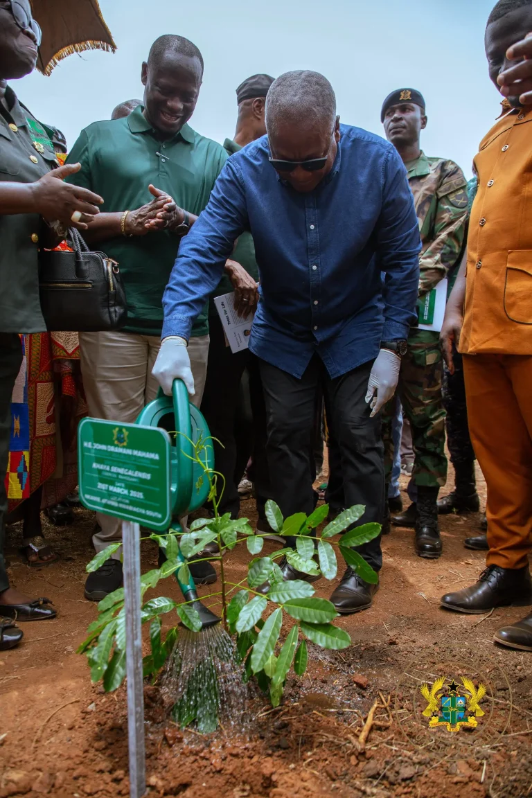 Ghana Launches ‘Tree for Life’ Initiative to fight Environmental Degradation