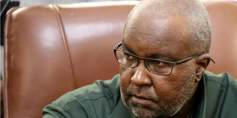 Namibian Agriculture Minister Mac-Albert Hengari sacked after being accused of rape