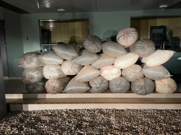 25 bags of smuggled cocoa beans intercepted by Immigration Officers in Bunkprugu District