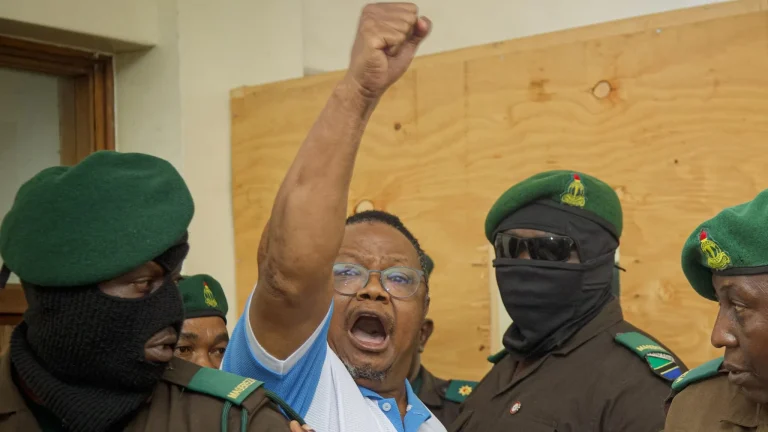Tanzanian President warns against Kenyan activists meddling