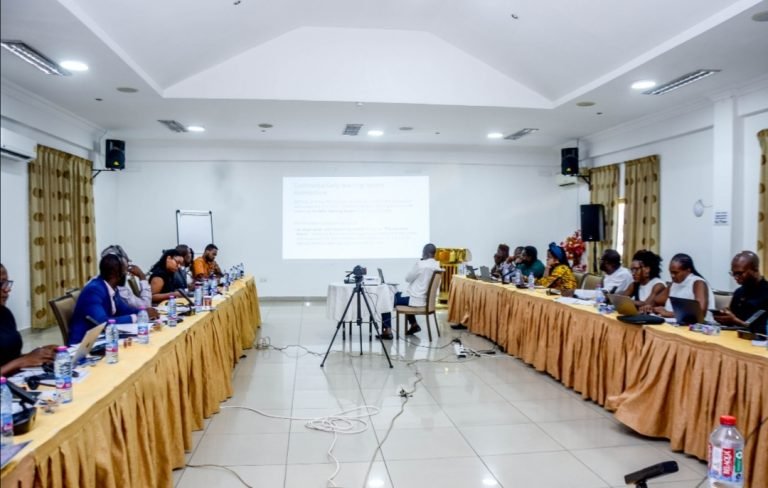 Pan-African Women Leaders’ Network Hosts High-Level Training on Human Rights Risk Detection