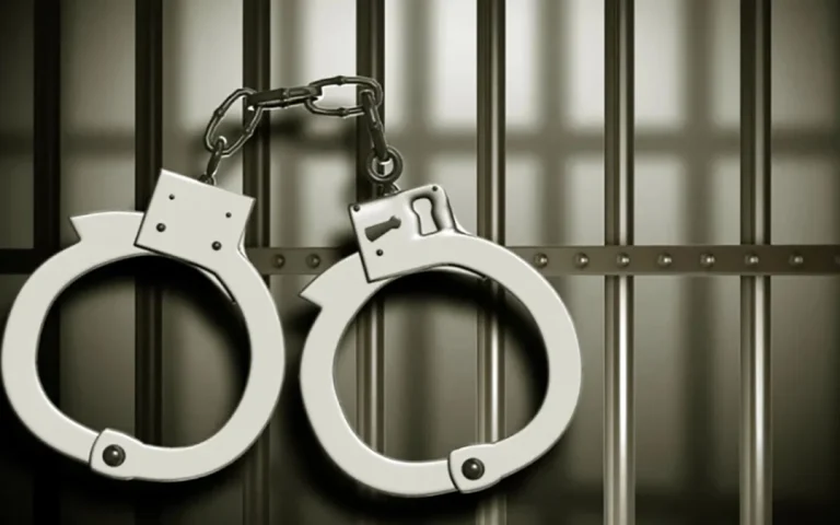 Police arrest grandmother and man over abuse of 11-year-old girl